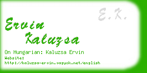 ervin kaluzsa business card